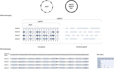 Development and Implementation of Whole Genome Sequencing-Based Typing Schemes for Clostridioides difficile